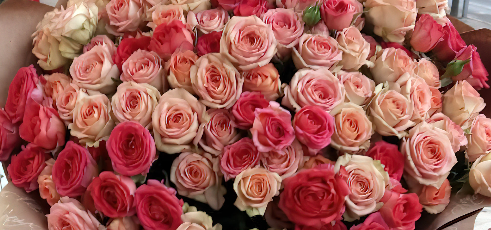 большой букет роз фото баннер